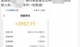 关于农行的最新爆料,揭秘金融巨头背后的变革与挑战